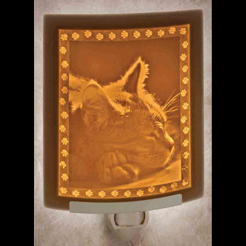 Kitten Dreams Night Light image 0