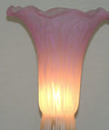Lily and Tulip Shades Replacements - Pink/White Satin Lily image