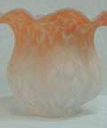 2 Tulip Lily Lamp - 15657 Tulip Peach/White image