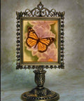 Lithophane Butterfly Colored Accent Lamp image 0